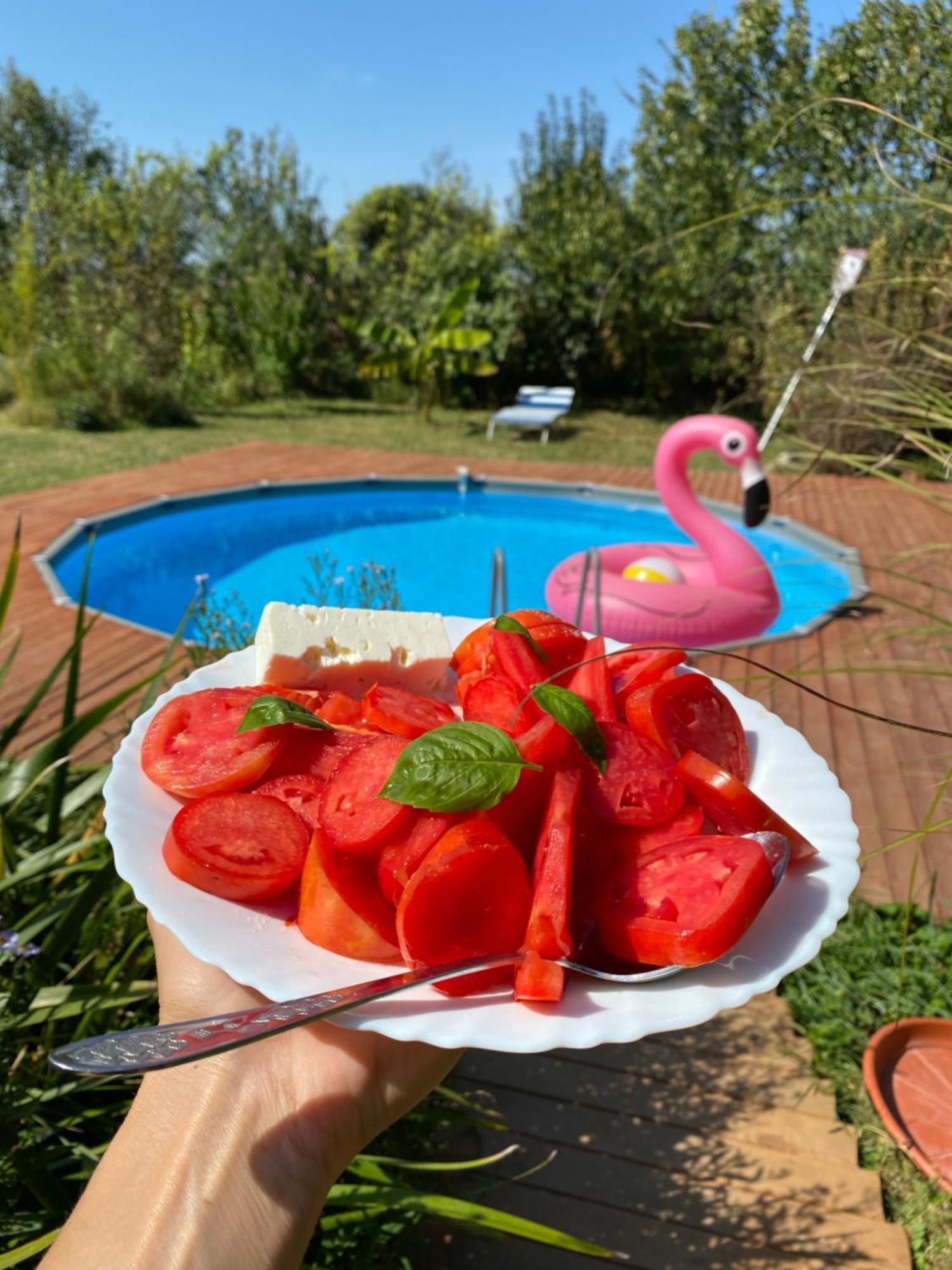 Morava Garden Resort Jagodina Exterior photo